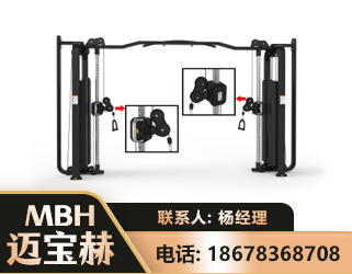 玉林大飞鸟训练器